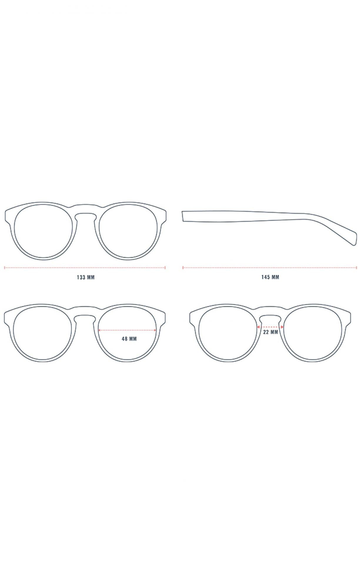Sonnenbrille Berkeley Tortoise Green Braun Grün