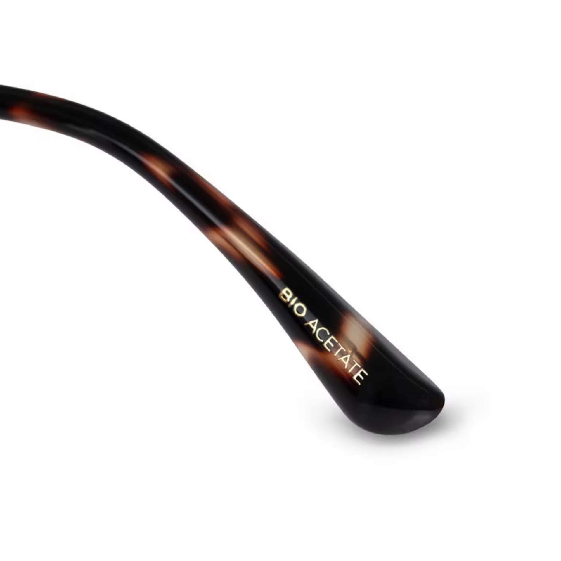 Kapten & Son Sonnenbrille Amsterdam  - Farbe: Edge Umber Tortoise Brown